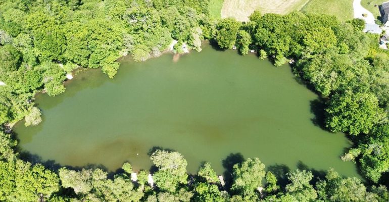 Bradley Pond